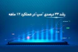 رشد 33 درصدی سپ در عملکرد 12 ماهه با کسب درآمد 3.1 هزار میلیاردی